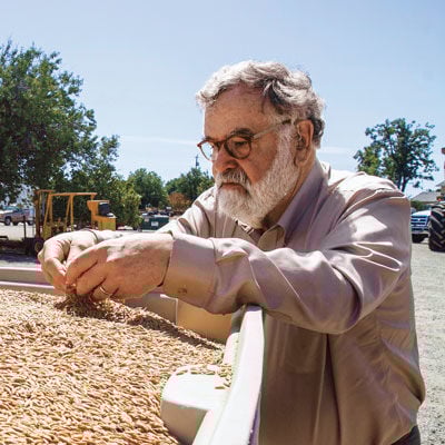 Flour Power: Bob Klein and Community Grains